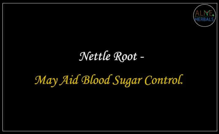 Nettle Root - Buy from the natural health food store