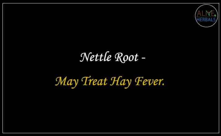 Nettle Root - Buy from the natural herb store