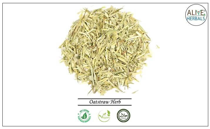 Oatstraw Herb - Buy from the health food store