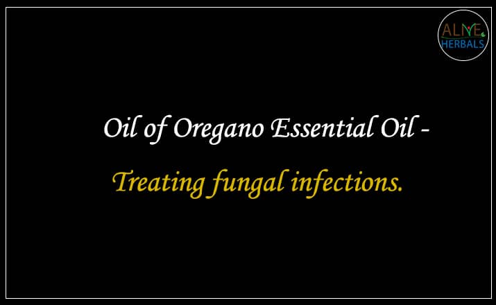 Oil of Oregano Essential Oil - Buy From the Best aromatherapy store