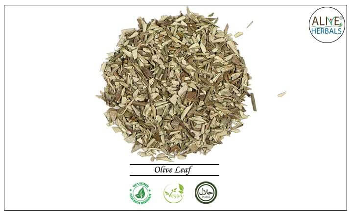 Olive Leaf - Buy from the health food store