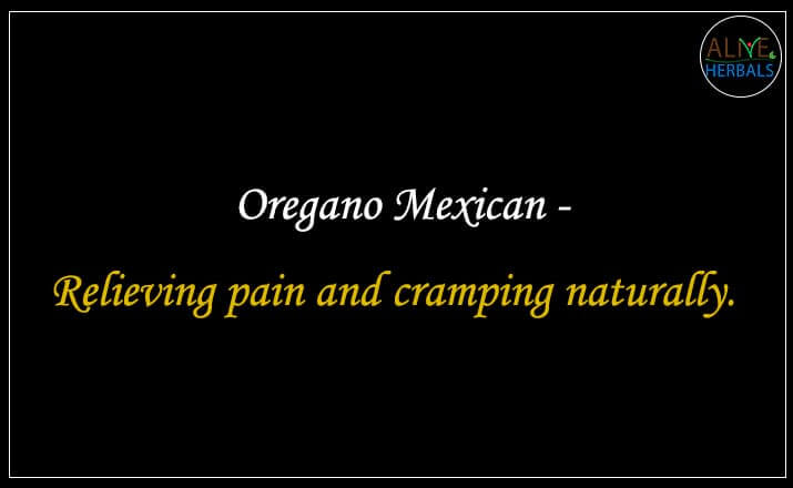 Oregano Mexican - Buy from the online herbal store