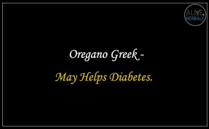 Oregano Greek - Buy from the natural health food store