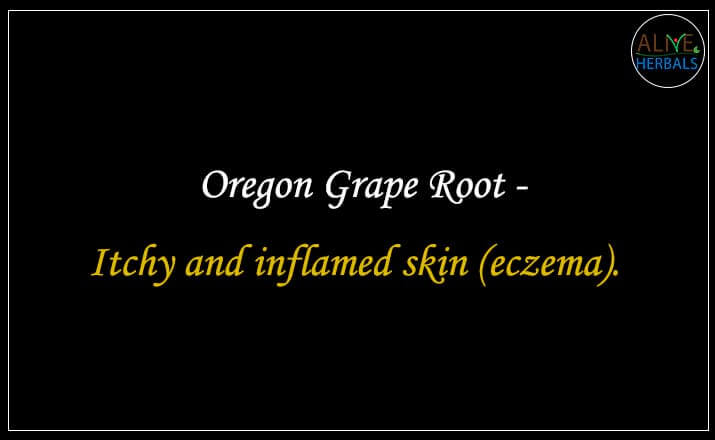Oregon Grape Root - Buy from the natural health food store