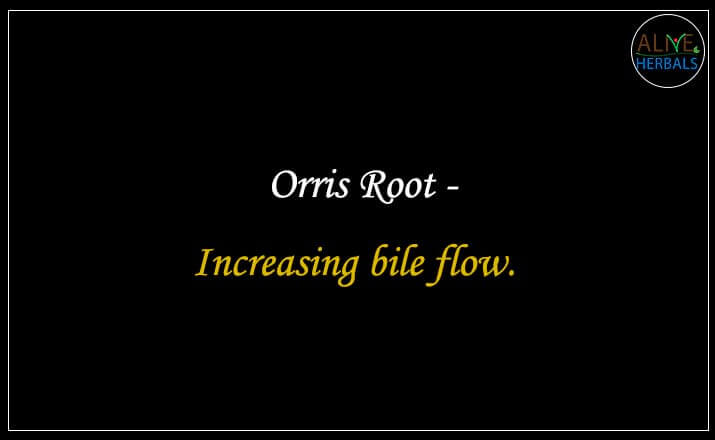 Orris Root - Buy from the natural health food store