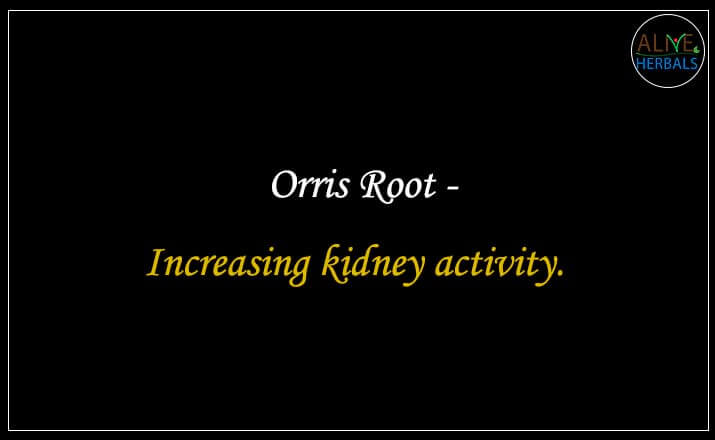 Orris Root - Buy from the natural herb store