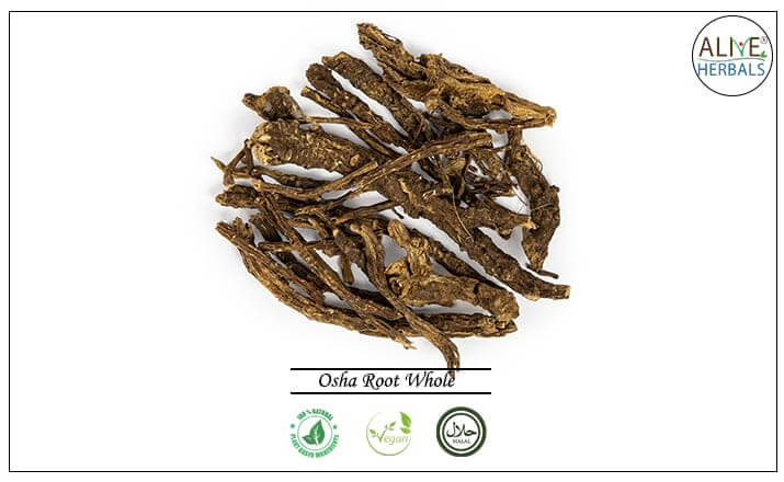 Osha Root - Buy from the health food store