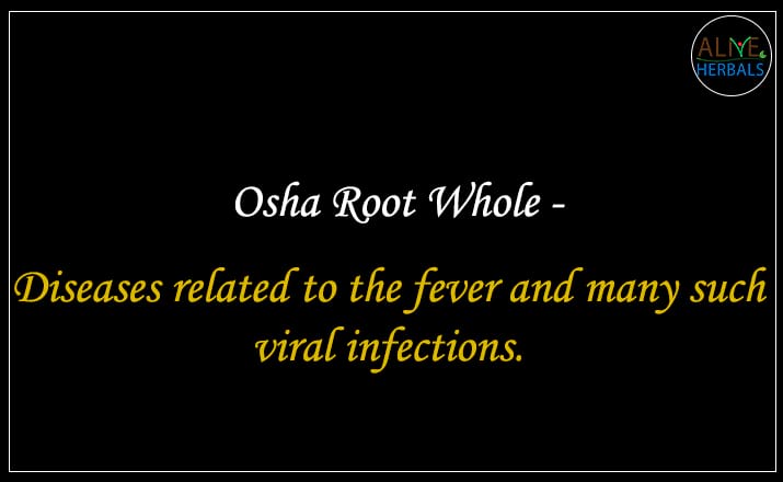 Osha Root - Buy from the natural health food store