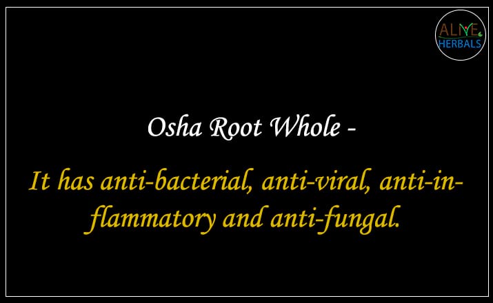 Osha Root - Buy from the natural herb store