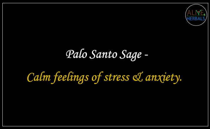 Palo Santo Sage- Buy from the online herbal store