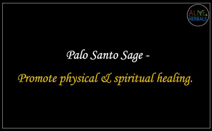 Palo Santo Sage - Buy from the natural herb store