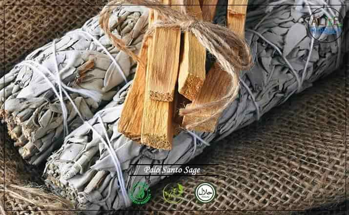 Palo Santo Sage - Buy from the health food store