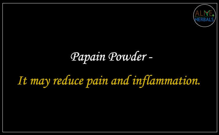 Papain Powder - Buy from the natural health food store