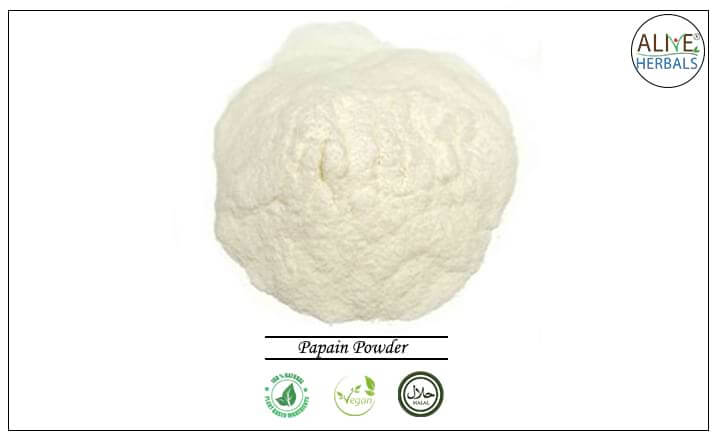 Papain Powder - Buy from the health food store