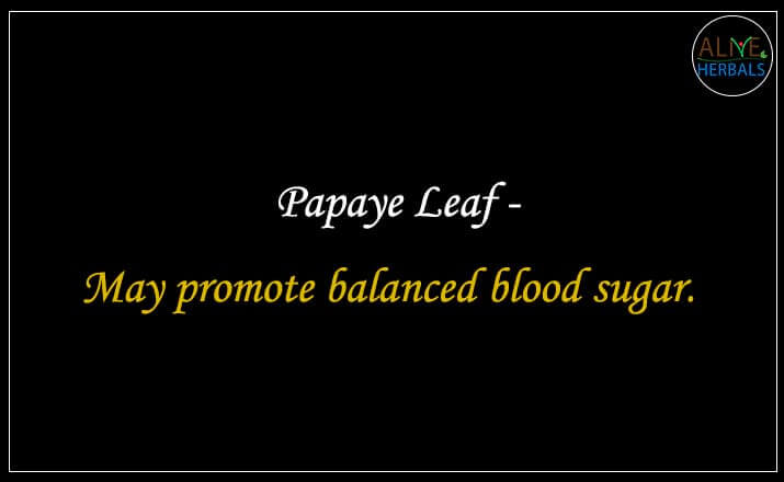 Papaya Leaf - Buy from the natural health food store