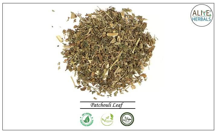 Patchouli Leaf - Buy from the health food store