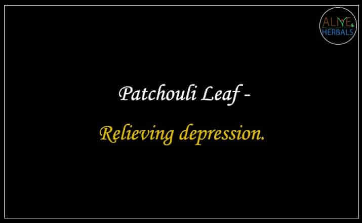 Patchouli Leaf - Buy from the natural herb store