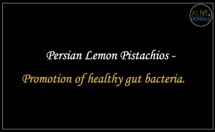 Persian Lemon Pistachios - Buy from the Nuts shop 