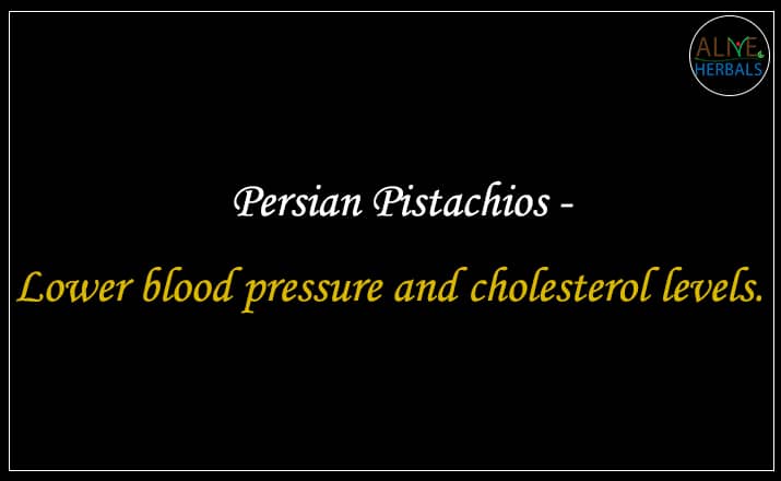  Persian Pistachios - Buy from the Nuts shop 