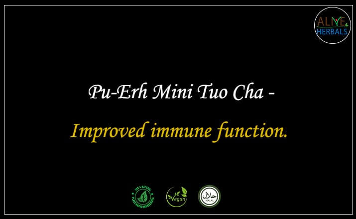 Pu-Erh Mini Tuo Cha - Buy from the online herbal store