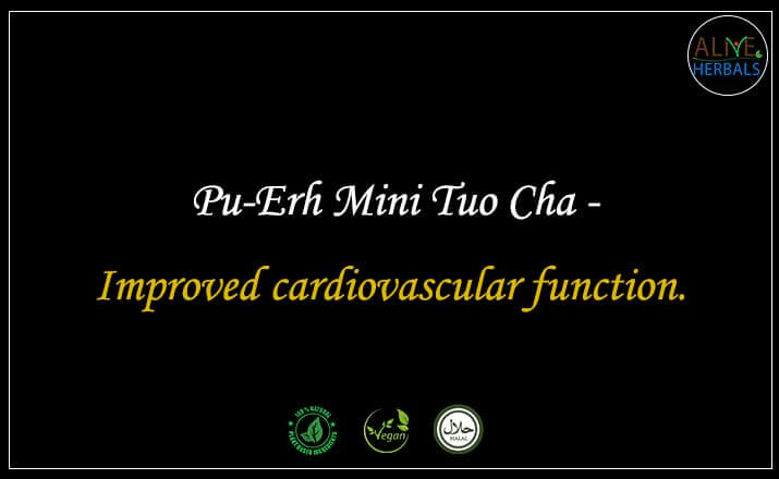 Pu-Erh Mini Tuo Cha - Buy from the natural herb store