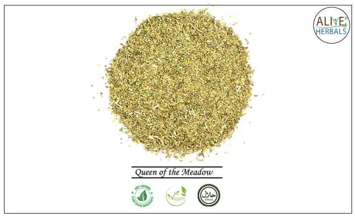 Queen of the Meadow - Buy from the health food store