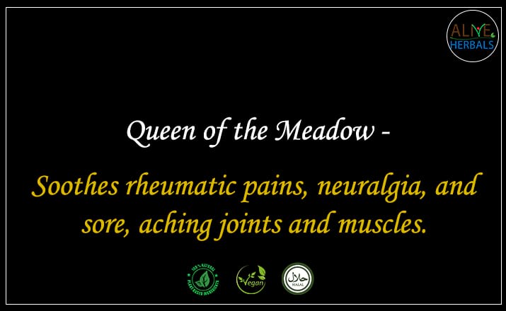 Queen of the Meadow - Buy from the natural health food store