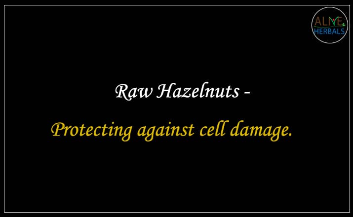Raw Hazelnuts - Buy from the nuts shop online 