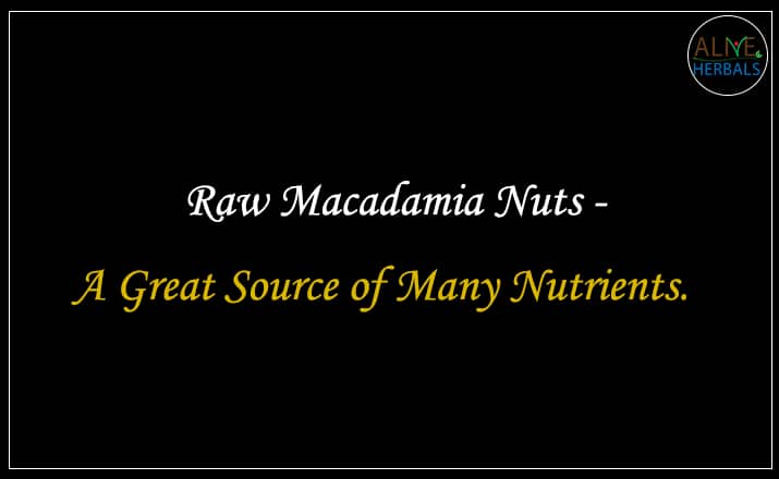 Raw Macadamia Nuts - Buy from nuts shop near me