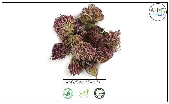 Red Clover Blossoms - Buy from the health food store