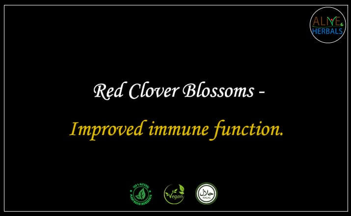 Red Clover Blossoms- Buy from the online herbal store