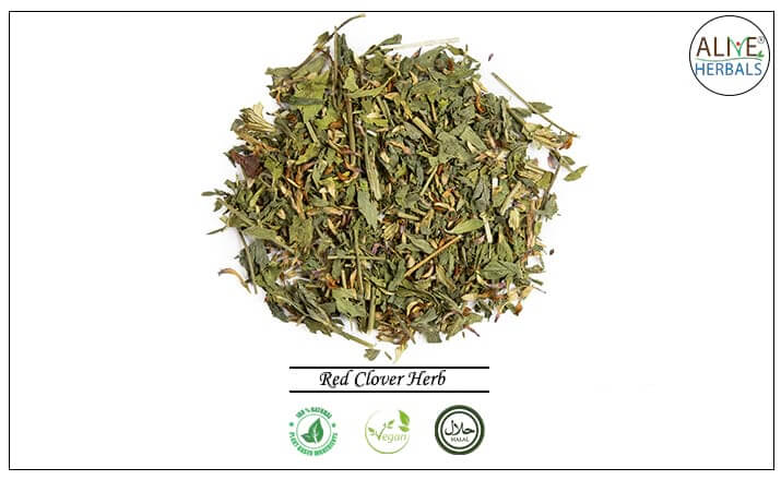 Red Clover Herb - Buy from the health food store