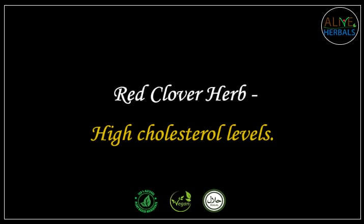 Red Clover Herb - Buy from the online herbal store