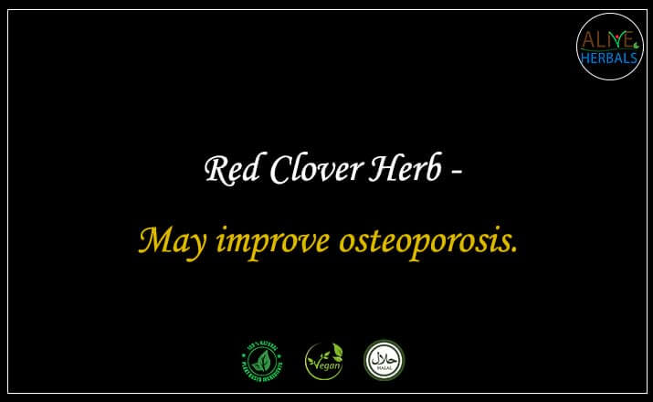 Red Clover Herb - Buy from the natural health food store