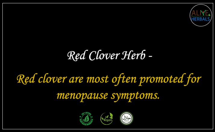 Red Clover Herb - Buy from the natural herb store