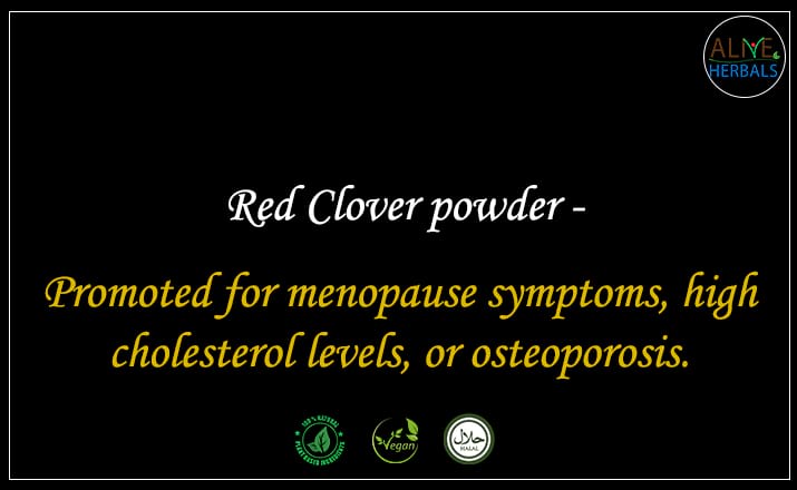 Red Clover powder - Buy from the natural health food store