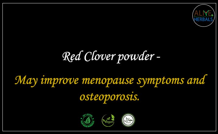 Red Clover powder - Buy from the natural herb store