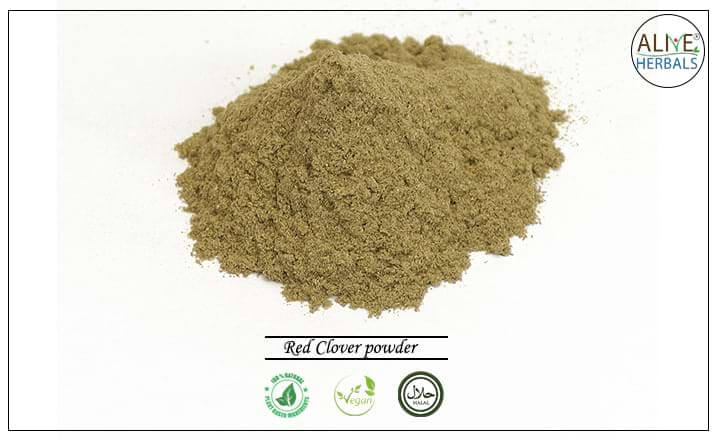 Red Clover powder - Buy from the health food store