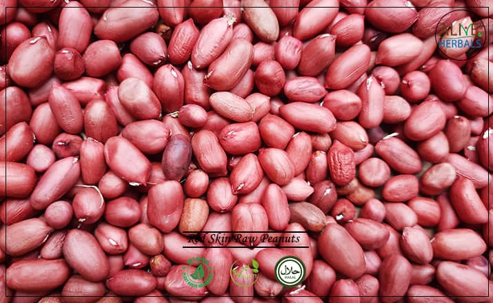 Red Skin Raw Peanuts - Buy from the health food store