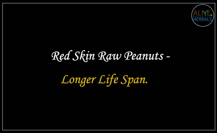 Red Skin Raw Peanuts - Buy from the nuts shop online 