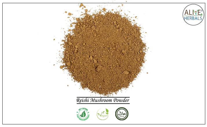 Reishi Mushroom Powder - Buy from the health food store