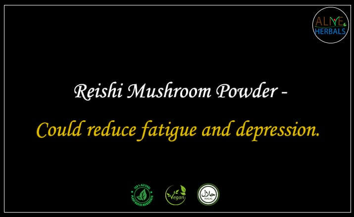 Reishi Mushroom Powder - Buy from the natural health food store