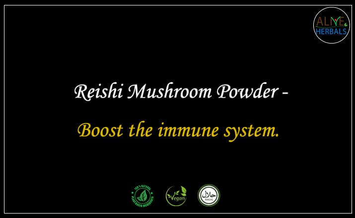 Reishi Mushroom Powder - Buy from the natural herb store
