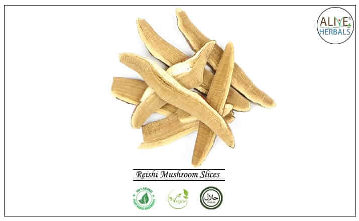 Reishi Mushroom Slices - Buy from the health food store