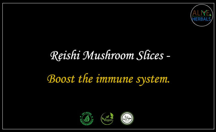 Reishi Mushroom Slices - Buy from the natural health food store