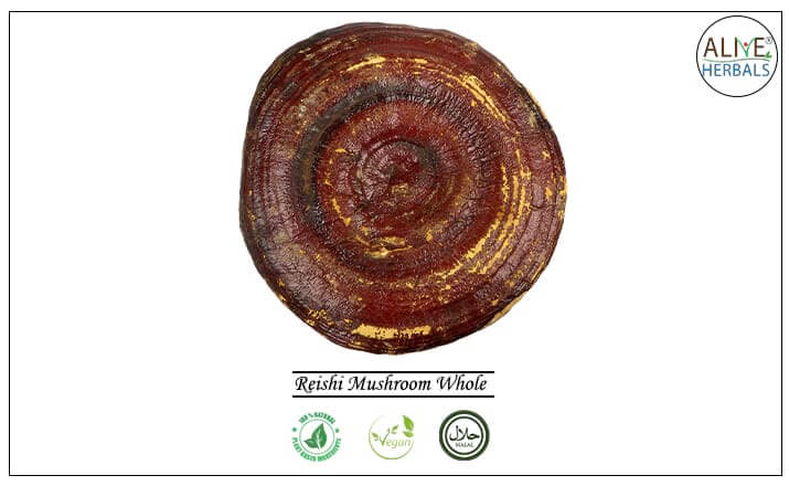 Reishi Mushroom Whole - Buy from the health food store