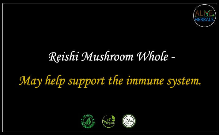 Reishi Mushroom Whole - Buy from the natural herb store