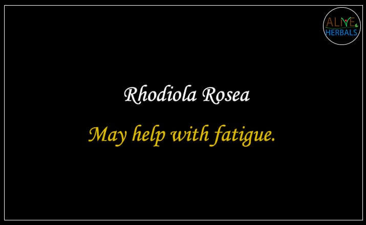 Rhodiola Rosea - Buy at the Herbal Store Online at Brooklyn, NY, USA - Alive Herbals.