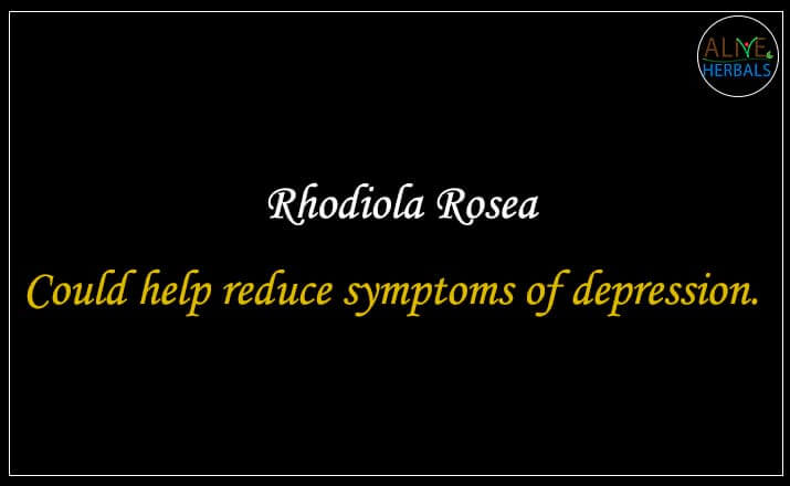 Rhodiola Rosea - Buy at Herb Shop NYC at Brooklyn, NY, USA - Alive Herbals.
