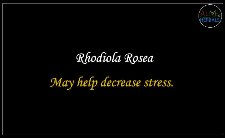 Rhodiola Rosea - Buy at the Natural Herbal Store at Brooklyn, NY, USA - Alive Herbals.